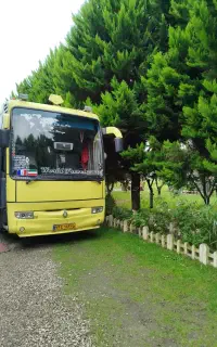 اتوبوس دربستی برای تمام نقاط