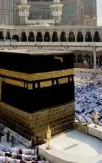 درخواست دو عدد حج