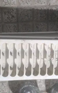مهتابی