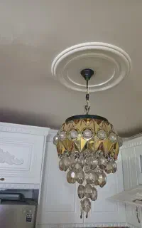 لستر8شاخه درحدنوبسیارسالم سلامت