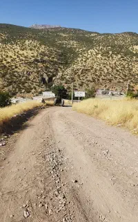 کود شیمیای اوره