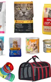 غذا خشک گربه با قیمت باورنکردنی