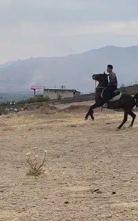 مادیون سرحال سن ۷