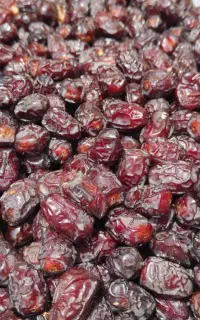 فروش خرمای درجه یک