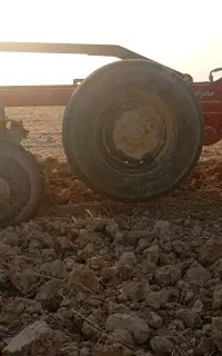 دیکس مشهدی