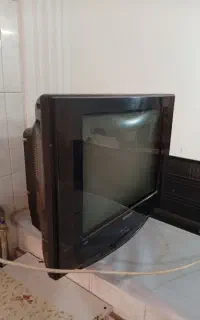 تلویزیون