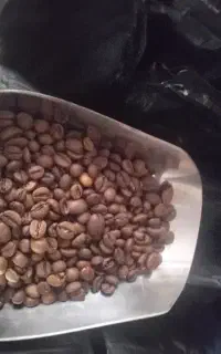 باریستا کافه کافی شاپ ها و دکه ها