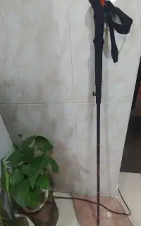 عصای کوهنوردی