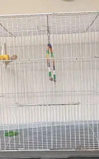 قفس و لوازم