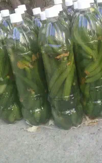 خیار شور
