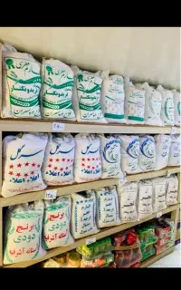 فروش انواع برنج ایرانی با چک صیادی
