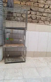 قفس پرنده