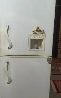یخچال فریزر سونیا