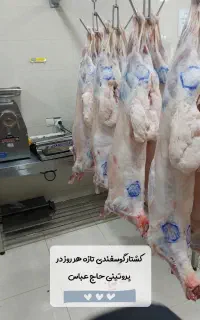 استخدام نیرو نظافتچی کار در پروتینی