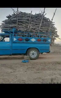 خرید چوب