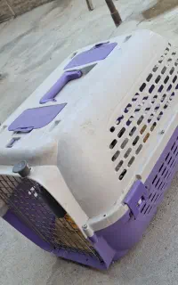 باکس حیوان