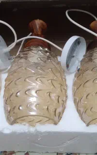 سه عددلوستر نونوه