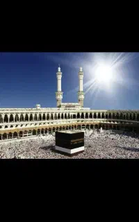 فروش فیش مکه85/12چهارتا دوتاعمره هم دارم