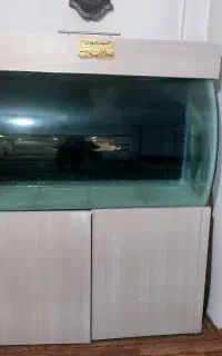 آکواریوم