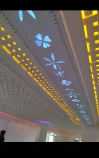 گچ کاری و لکه گیری