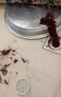 لوله بازکنی بهادر شبانروزی محلات نیمور و حومه