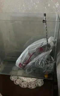 اکواریوم با تمام وسایل