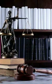 وکیل دادگستری، جرائم مالی