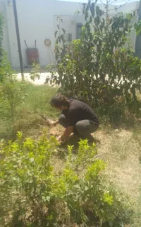 خدمات‌باغبانی.فقط‌تماس‌.