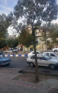 اجاره مغازه ۱۵۰متری در۳۲متری