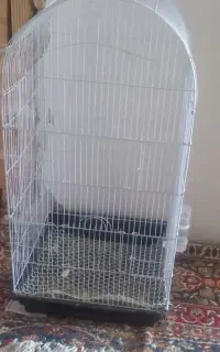 قفس