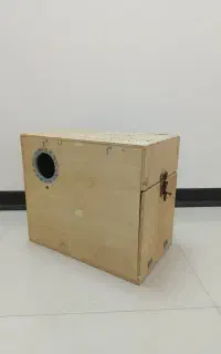 لانه چوبی طوطی