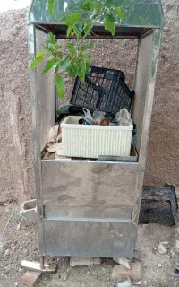 فر نو ساندویجی فقط تو حیات بوده دوسال سه شعله