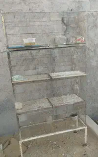 یخچال