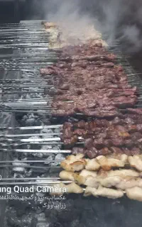 نیروی کبابی خانم