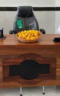 فروش نهال گیلاس زرد ارومیه عمر اقتصادی بالا