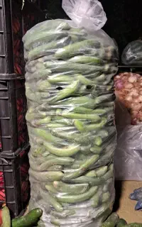 خیار شوری