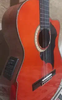 گیتار پیکاب دار