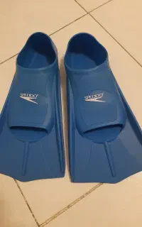 فین شنا