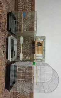 قفس بزرگ