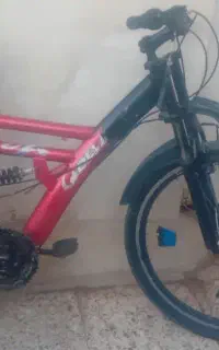 دوچرخه