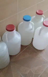 دبه خیار شور هشت عدد