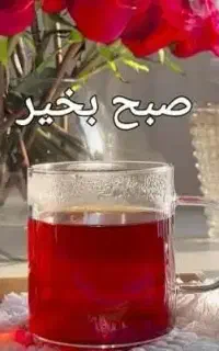 سیم کارت شماره رند فقط۲۵۰۰۰۰ تومن