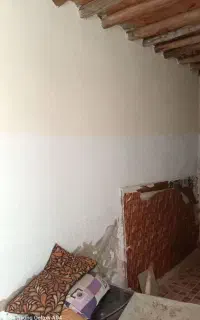 درخت سبز