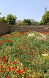 کارگر ساده