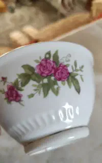 کاسه گلسرخی