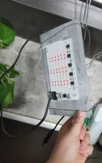 لامپ مخصوص رشد گیاه