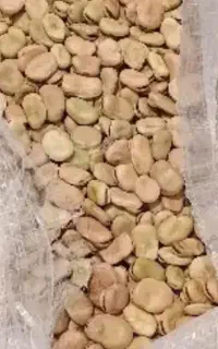 باقالی