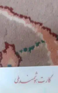 مدارک گمشده