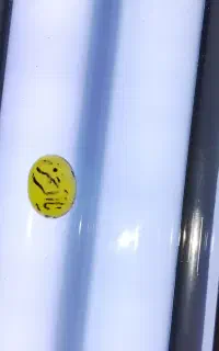 عقیق انگشتری شرف الشموس خاص