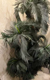 درخت مصنوعی سیکاس